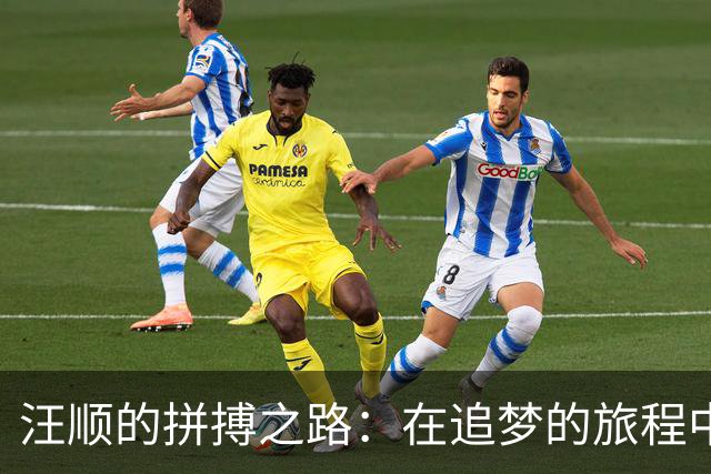 汪顺的拼搏之路：在追梦的旅程中找到幸福